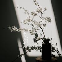 我不是情圣