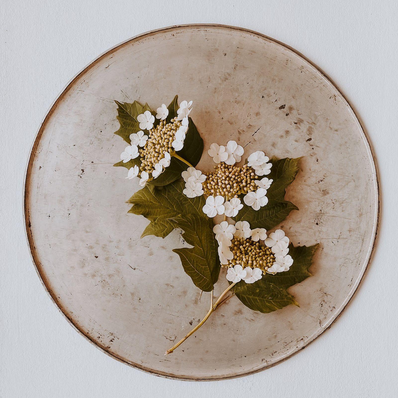 Back To U(FYH Remix)