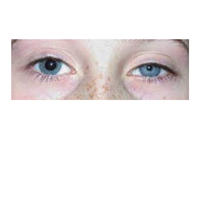 Ariana Grande X Crystal Waters & Manyfew - One Last Time Umm Bop (Glenn-D Mashup) (Clean) 130