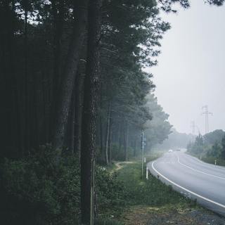 自然之声 ｜ 天地万物 助你入眠