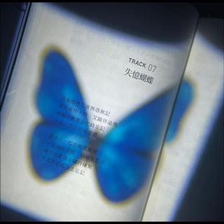 INFP｜把爱放在阳光下 人才能明媚