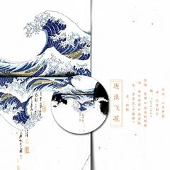 逐浪飞花（Cover 贰婶 / 流浪的蛙蛙）