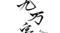 九万字（沉迷这首歌）专辑