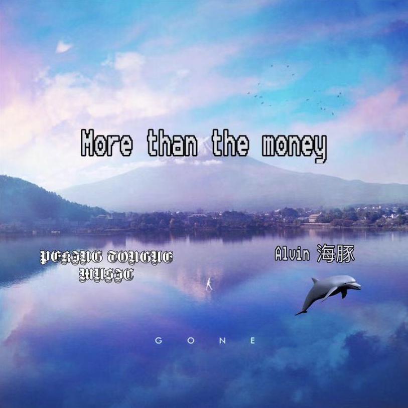 MORE THAN THE MONEY