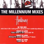 The Millennium Mixes专辑