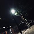 醒着醉demo