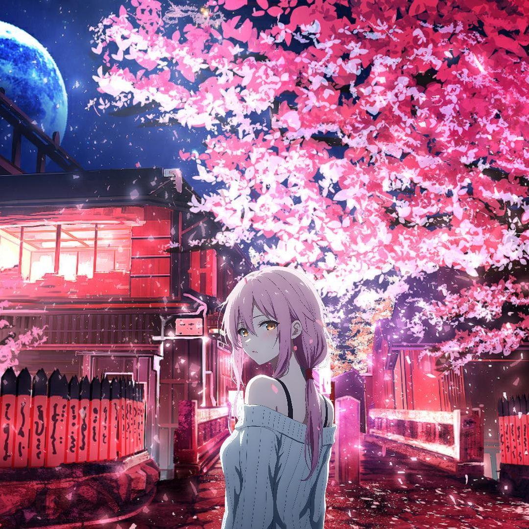 She Doesn't Mind Funk