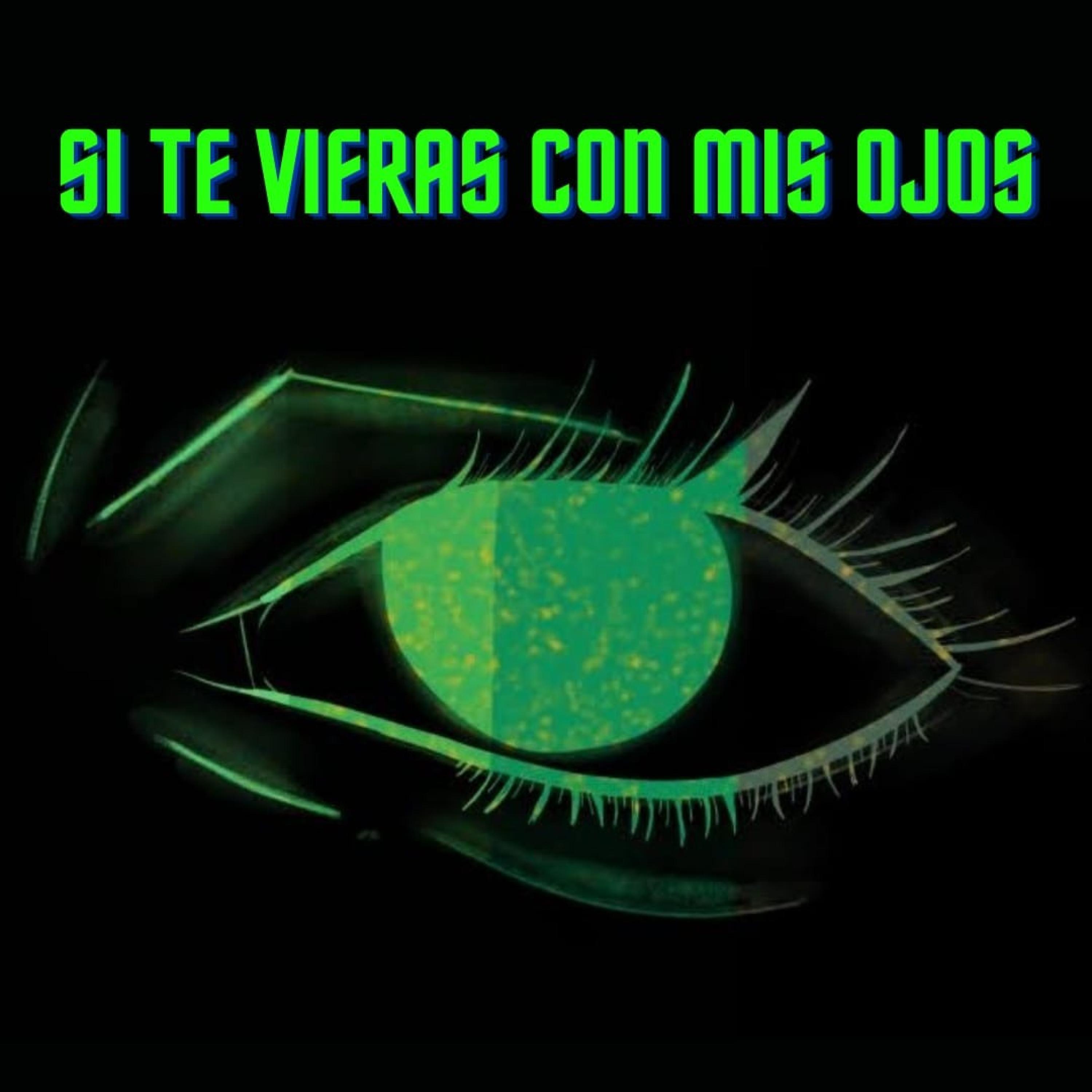 Si te vieras con mis ojos
