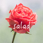 Salad专辑