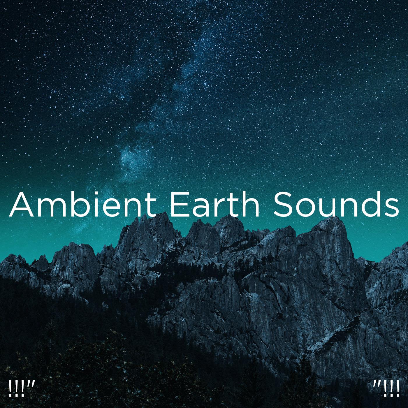 !!!" Ambient Earth Sounds "!!!