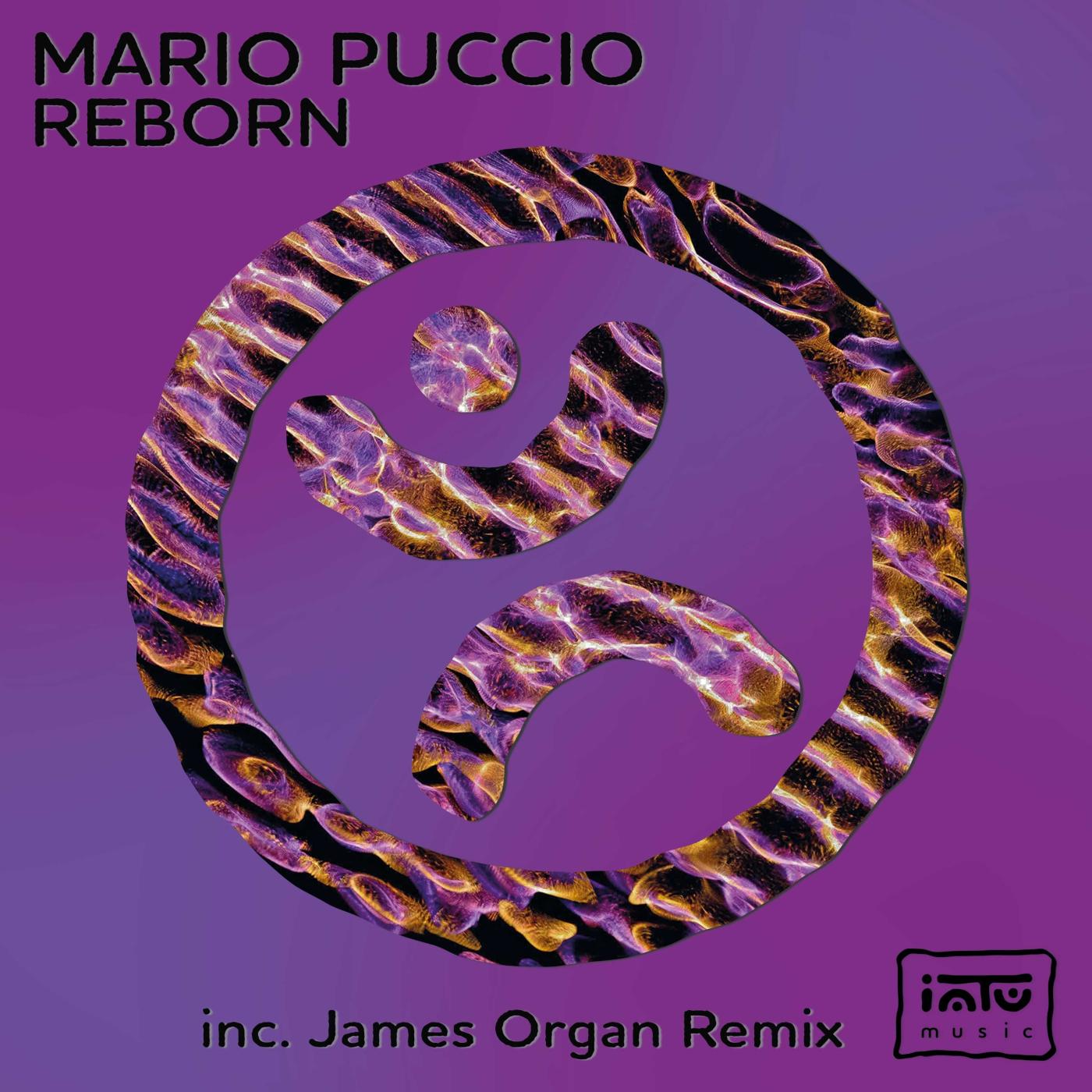 Mario Puccio - Reborn (James Organ Remix)