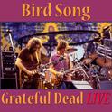 Bird Song (Live)专辑