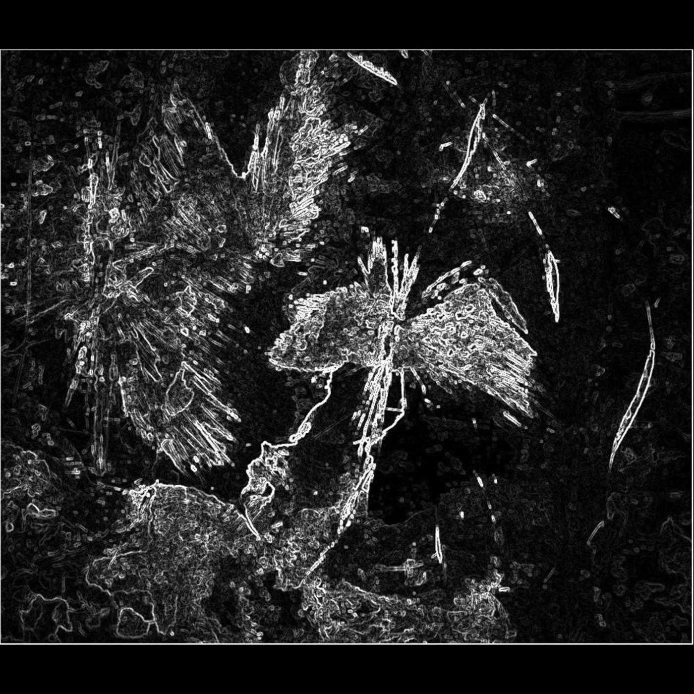 Amongst the Embers