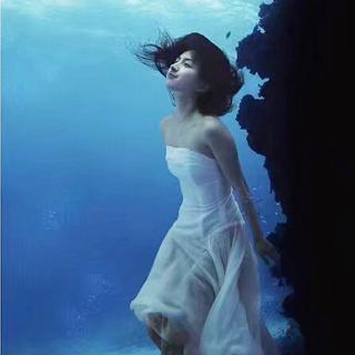 自然｜春夏秋冬，惊鸿一瞬。