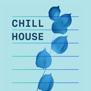 Chill House｜您的解压杂货铺已上线