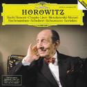 Vladimir Horowitz - The Last Romantic专辑