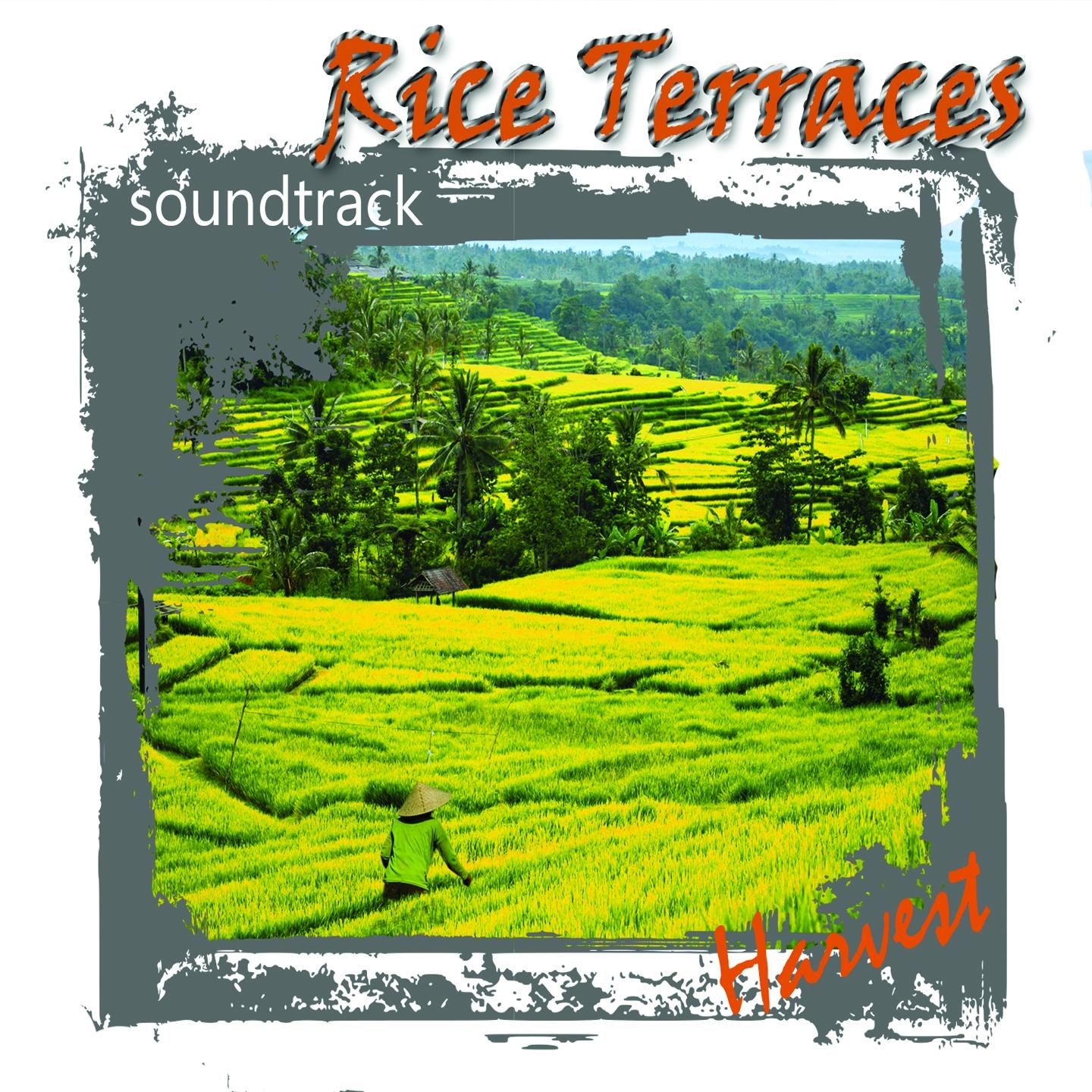 Rice Terraces