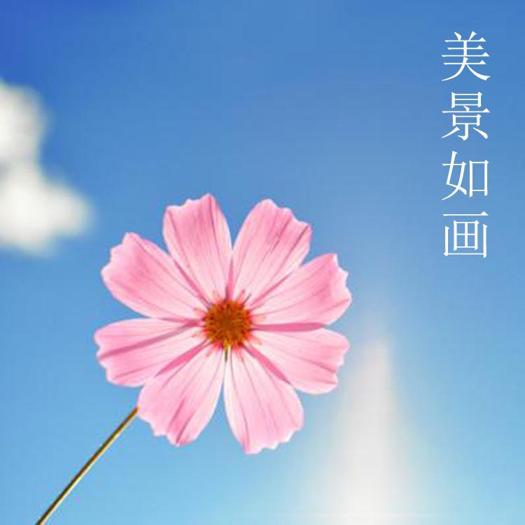 美景如画
