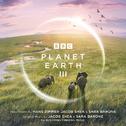 Planet Earth III Suite (From "Planet Earth III")专辑