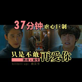 只是不敢再爱你