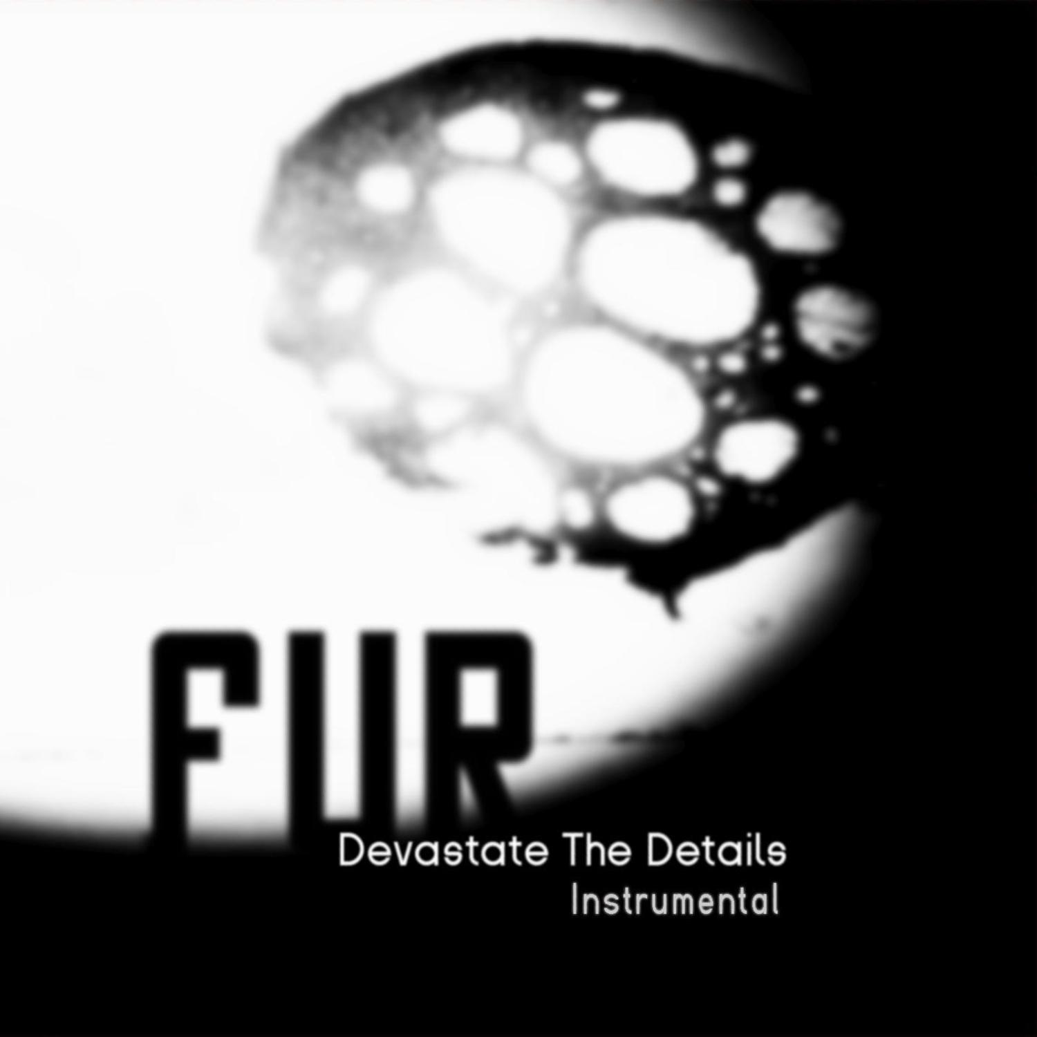 Devastate the Details Instrumental