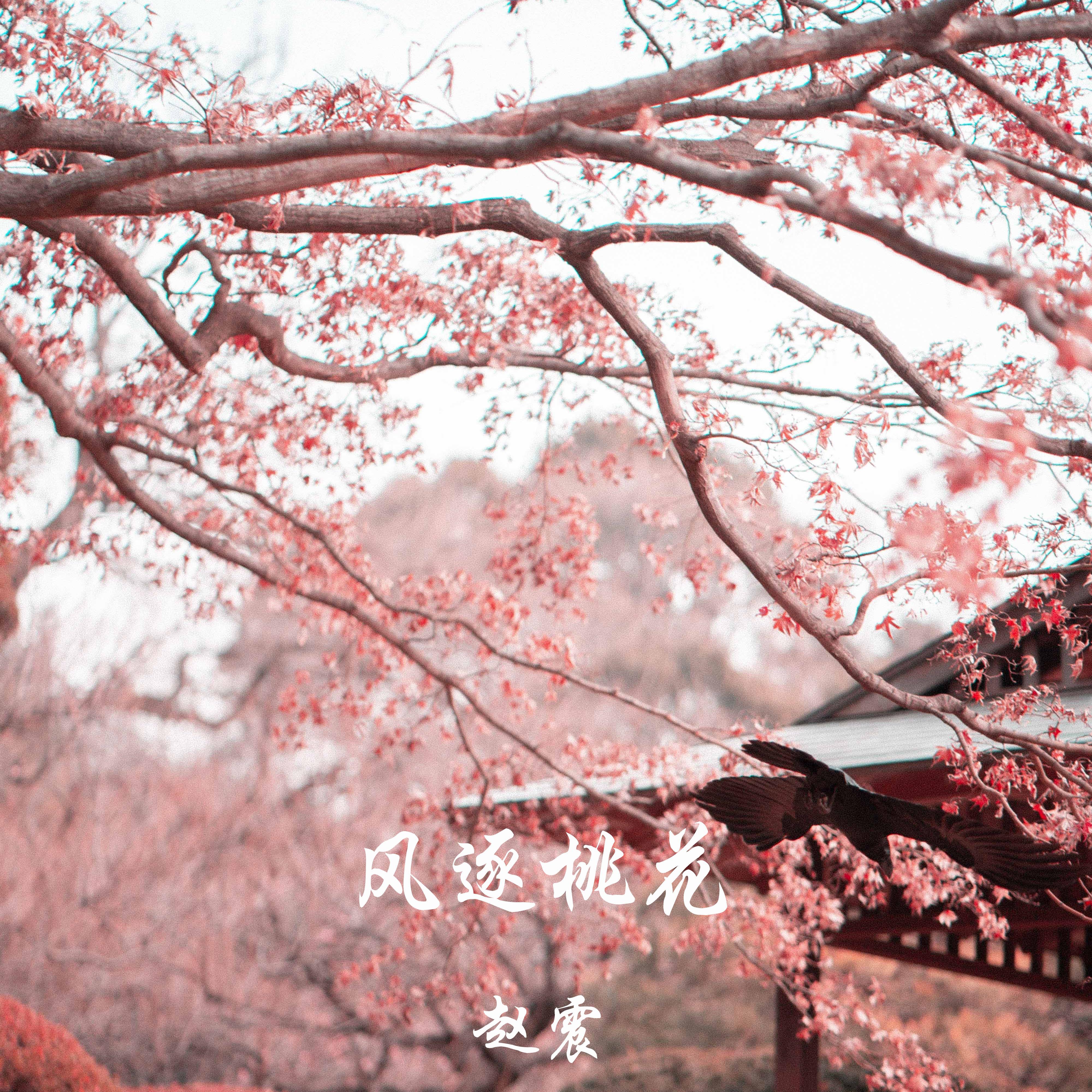 风逐桃花 2.0