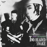 Two Head Snake 双头蛇