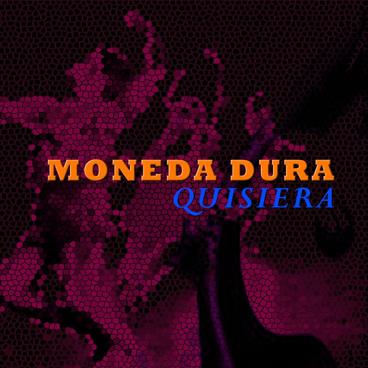 Quisiera