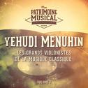 Les grands violonistes de la musique classique : Yehudi Menuhin, Vol. 2专辑
