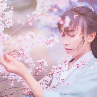 李子柒BGM 001期至100期【微博视频】