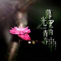 暮光里的青春专辑