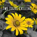 Two Tigers Chilling专辑