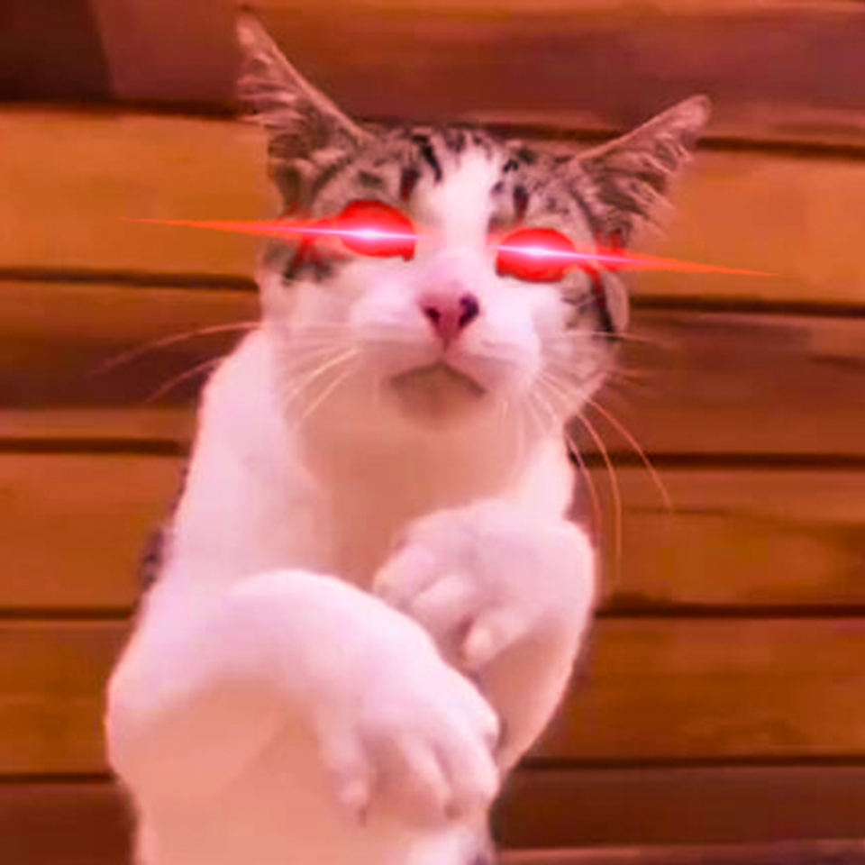 Sunshine 曼波 阳光曼波