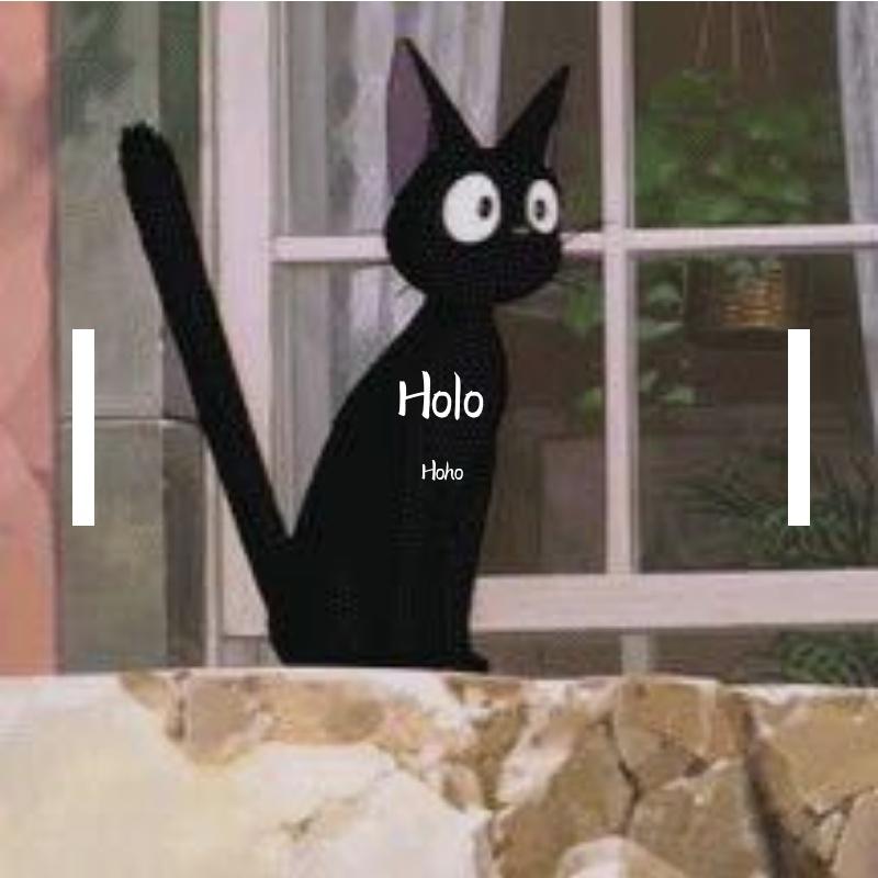 Holo