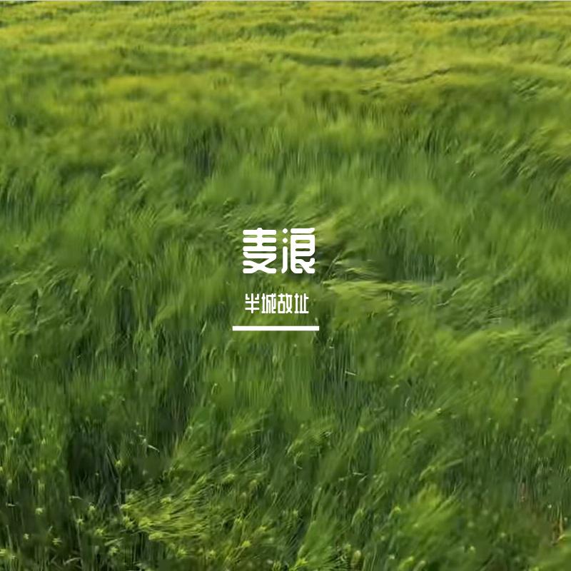 麦浪