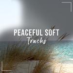 #22 Peaceful Soft Tracks for Yoga专辑