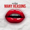 wslyy - Many Reasons