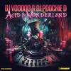 Dj Poochie D - Acid In Wonderland