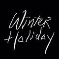 Winter Holiday Cover(LIVE)