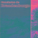 Conciertos de Brandemburgo专辑