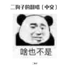 二狗子的翻唱（中文）