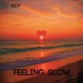 Feeling Slow
