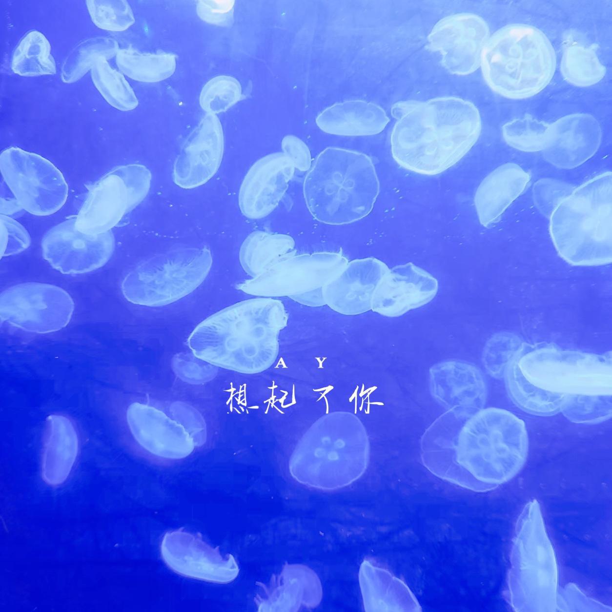 想起了你