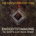 Endzeitstimmung ("So sieht's aus" Rock Remix by Crystin Fawn)专辑
