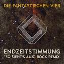 Endzeitstimmung ("So sieht's aus" Rock Remix by Crystin Fawn)