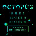 Octopus type beat专辑