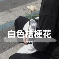诗子明-白色桔梗花