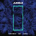 丛林 Jungle