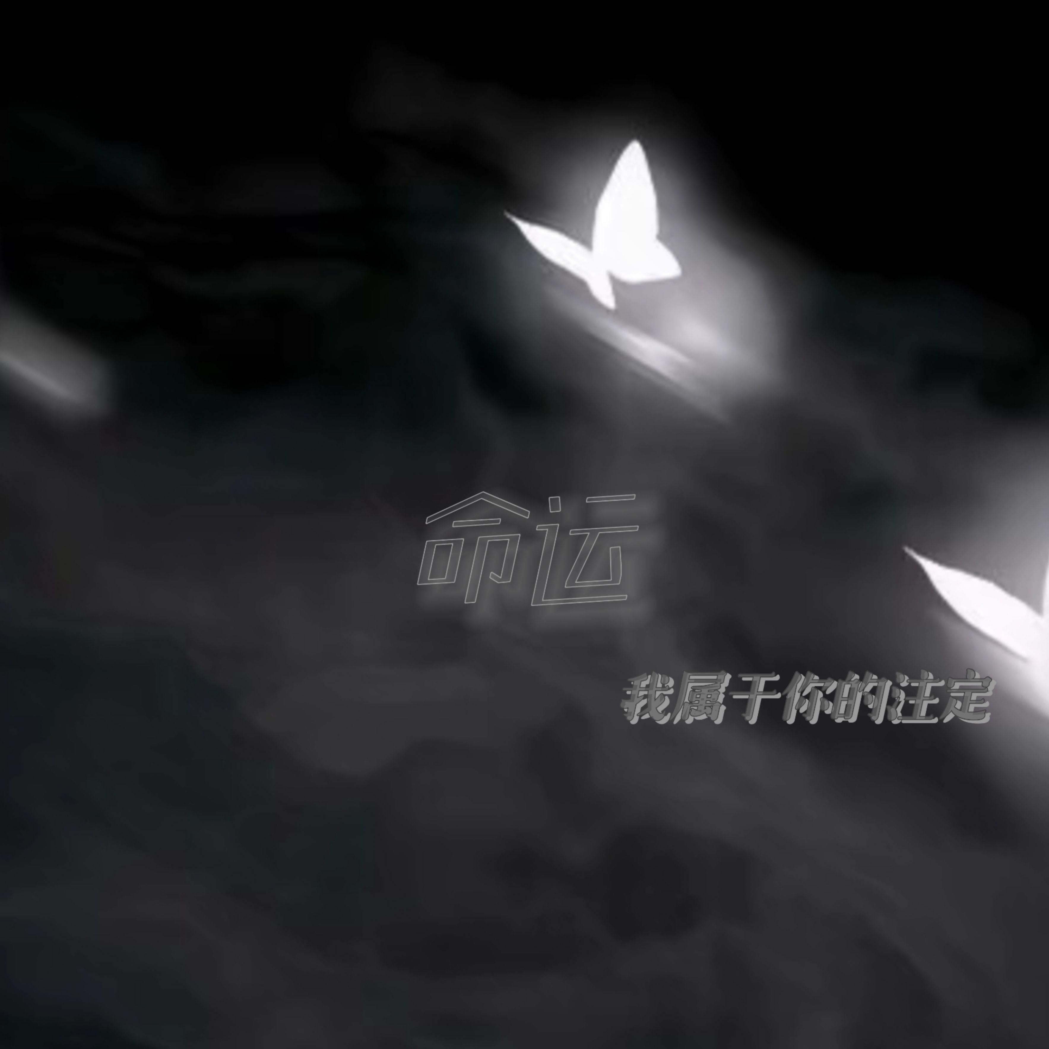 命运