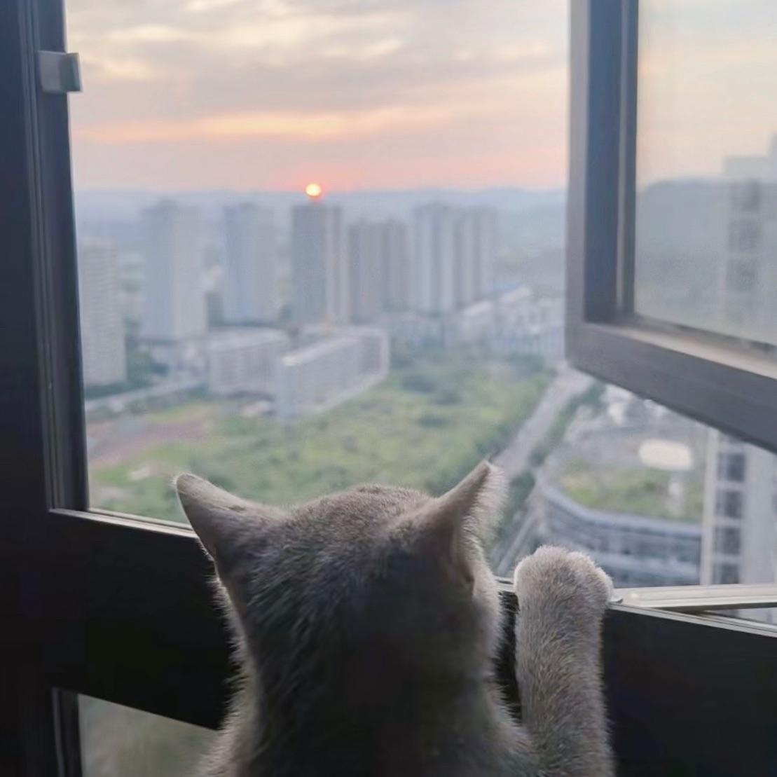 我永远喜欢海